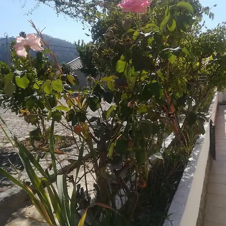 Villa Vila Sorriso